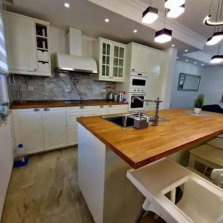 Modern With Swimming Pool And Fenced Garden *