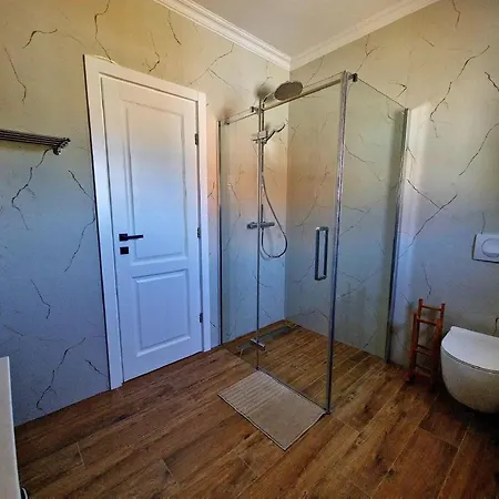 Modern With Swimming Pool And Fenced Garden
