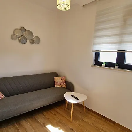 Modern With Swimming Pool And Fenced Garden *