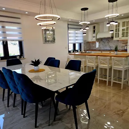 Modern With Swimming Pool And Fenced Garden Malinska